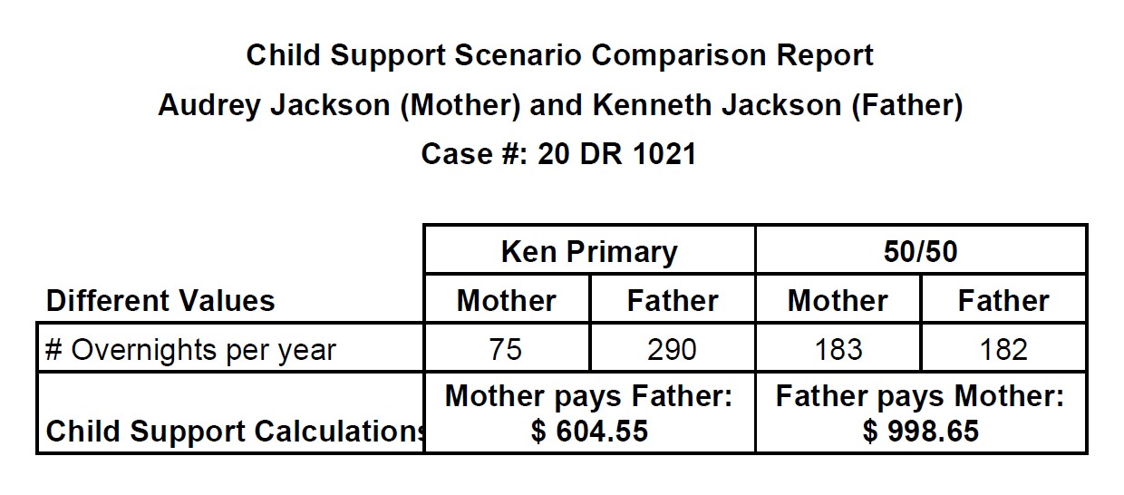 Family Law Software Support Scenario Comparison Report for Website